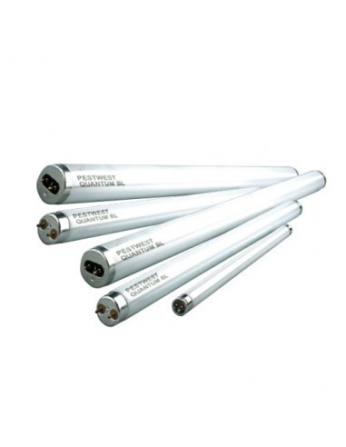 Tubo recto PestWest Quantum de luz ultravioleta (40w - 60cm - T12) - 1